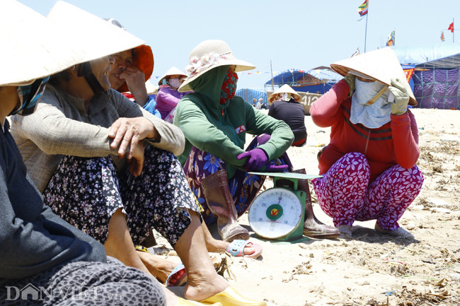 Ở trên bờ, hàng chục phụ nữ giúp người thân vận chuyển và làm công việc sơ chế cá ngừ đại dương.