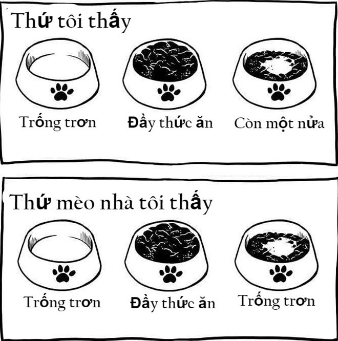 8. Là "con sen" đích thực: Nuôi một con mèo, bạn phải chấp nhận làm "con sen" thực thụ, nghĩa là luôn quan tâm đồ ăn, thức uống và cả nơi đi vệ sinh của chúng. Chỉ cần bạn lơ là, không đổ đầy thức ăn vào tô, chúng có thể tỏ ra hờn dỗi ngay.