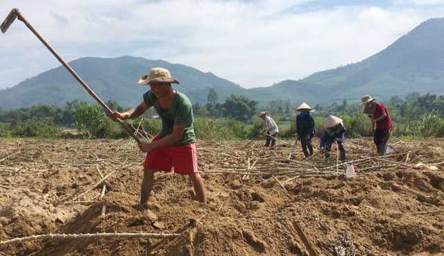 Theo lời người dân trong vùng, mấy năm gần đây, nhờ mùi vị thơm ngon đặc biệt và giàu chất dinh dưỡng, sùng đất được người dân trong tỉnh lùng mua về để chế biến thưởng thức nên giá bán có lúc lên 250.000-300.000 đồng/kg, nhưng không dễ để mua được. Vì vậy số tham gia đi đào bắt để về bán ngày càng đông. Hôm ít thì vài chục, nhiều lên đến cả trăm người đi đào bắt sùng/ngày.