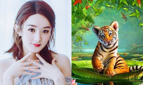 Tuổi Dần vốn mang mệnh phú quý, nên những gì họ làm đều sẽ gặt hái được thành công trong tương lai, chỉ quan trọng họ có kiên nhẫn hay không? Cụ thể trong hai tháng đầu năm 2019, tuổi Dần chuẩn bị tinh thần đón lộc trời cho, không chỉ có quý nhân phương xa giúp đỡ mà bản thân họ cũng tự tạo cơ hội làm giàu cho chính mình.