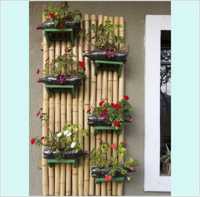 3. Đóng những thân tre, luồng lên tường, tạo kệ và đặt những chậu cây được dùng từ tận dụng chai nhựa. Trồng hoa vào bên trong từng chai nhựa để bức tường xanh thêm độc đáo và lạ mắt.