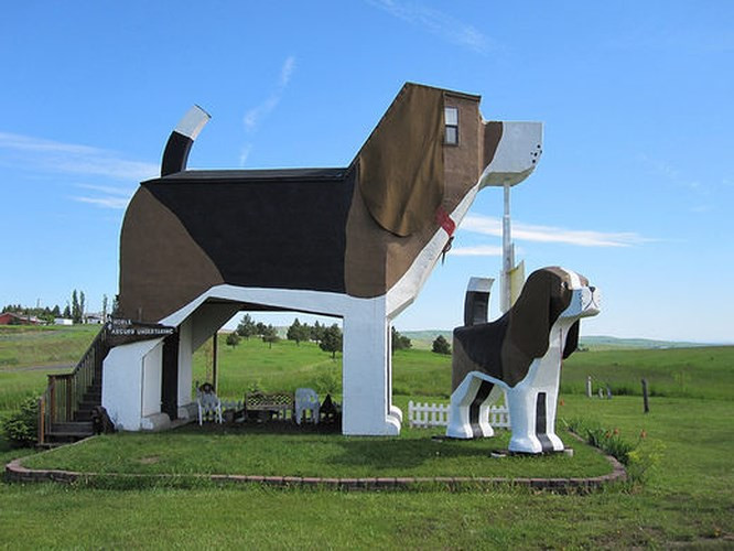 10. Dog Bark Park Inn - Cottonwood, Idaho, Hoa Kỳ Dog Bark Park Inn ở Cottonwood, Idaho, Mỹ là tác phẩm của cặp đôi Frances Conklin và Dennis Sullivan. Đây là khách sạn dành cho người yêu chó. Ngay cả nội thất của khách sạn đều bao gồm hình ảnh chó. Vì vậy, nếu bạn là một người yêu chó, hãy thử trải nghiệm khách sạn một lần.