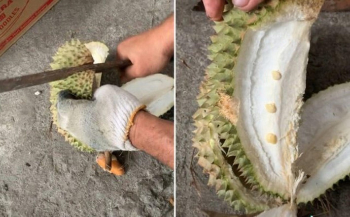 Sầu riêng là món khoái khẩu của nhiều người bởi vị ngọt, béo ngậy của nó.
