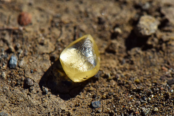 Khi đến Arkansas, cặp đôi quyết định đến thăm Crater of Diamonds State Park, công viên nổi tiếng có kim cương mà người dân có thể vào. Tại đây bà Noreen đã tình cờ phát hiện ra viên kim cương màu vàng 4,38 carat.