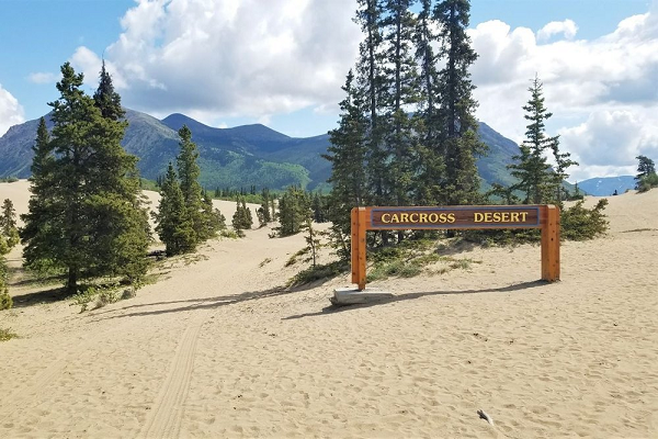 Sa mạc Carcross cũng là nơi mà nhiều nhà khoa học và nhà địa chất tranh cãi với nhau để làm sáng tỏ nhiều hiện tượng kỳ lạ ở đây.