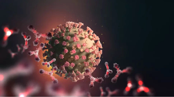 Vì vậy, điều nên làm bây giờ là giới khoa học cần nghiên cứu những virus có ở những loại động vật khác nhau và động vật mà con người buôn bán, tiêu thụ nhiều nhất.