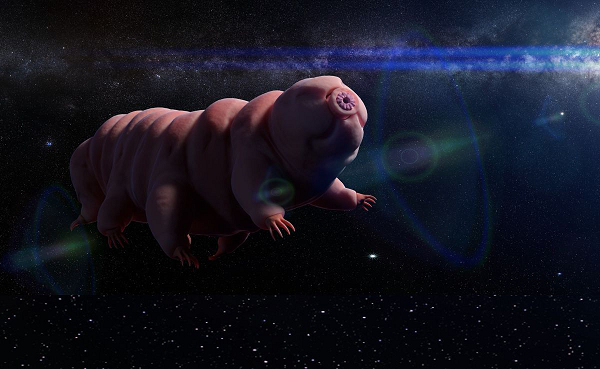 Nguyên nhân là do, các thử nghiệm trước đây cho thấy tardigrade vẫn bất tử trong môi trường vũ trụ!