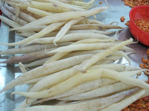 Bóng cá cũng chứa protein dạng keo (gelatin), lipid, đường, nguyên tố vi lượng và vitamin… Vì thế bong bóng cá được dùng cho trường hợp di tinh, hoạt tinh, thổ huyết, khái huyết, uốn ván kinh giật, băng huyết, trĩ lậu, đại tiện xuất huyết. Chỉ cần sử dụng thực phẩm này thường xuyên thì cơ thể sẽ mạnh khỏe lên trông thấy.