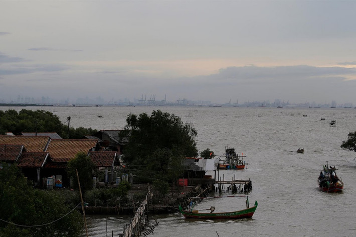 Đất nước vạn đảo Indonesia có đường bờ biển dài khoảng 81.000 km và đặc biệt dễ bị ảnh hưởng bởi biến đổi khí hậu. Hơn 1/5 diện tích rừng ngập mặt của thế giới tập trung tại Indonesia. Rừng ngập mặn giúp hạn chế tác động của thủy triều, nhưng hiện nay chỉ còn 3 triệu ha, giảm chỉ còn hơn một nửa so với cách đây 3 thập kỷ.