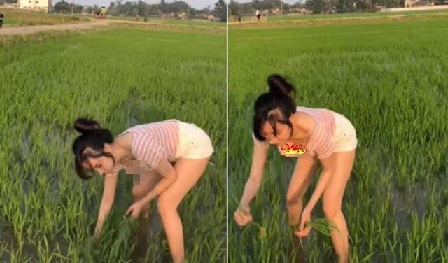 Rất nhiều bình luận bày tỏ ngán ngẩm với cách ăn mặc hớ hênh này của người đẹp xứ Nghệ.