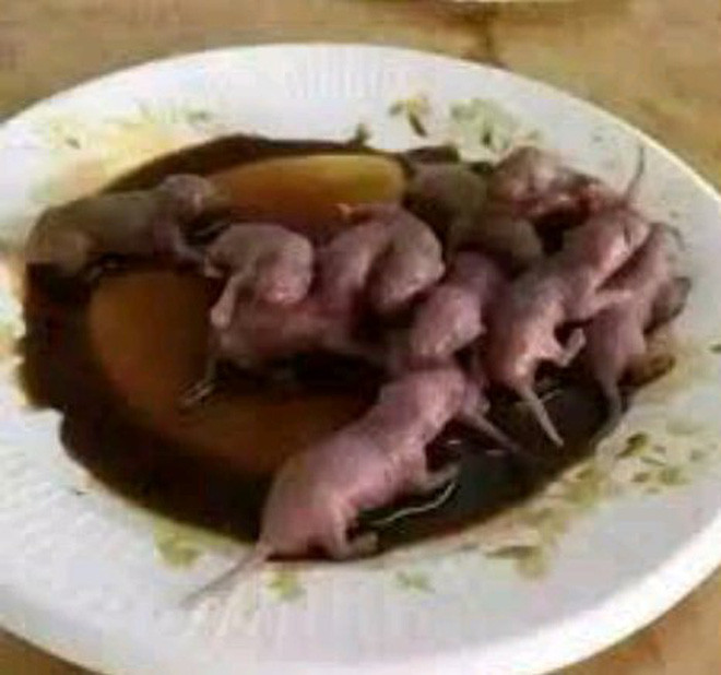 Được biết, món ăn xuất hiện trong clip còn có tên là "chuột bao tử" hay còn gọi là San Zhi Er. Đây được xem là một trong những món ăn kinh dị nhất thế giới có xuất xứ từ Trung Quốc.