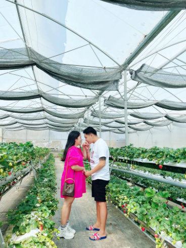 Đến hiện tại, 2 vợ chồng Tấn Lợi vẫn đang kinh doanh online, không còn ồn ào trong giới showbiz như thời gian trước đây. Ảnh: Tổng hợp