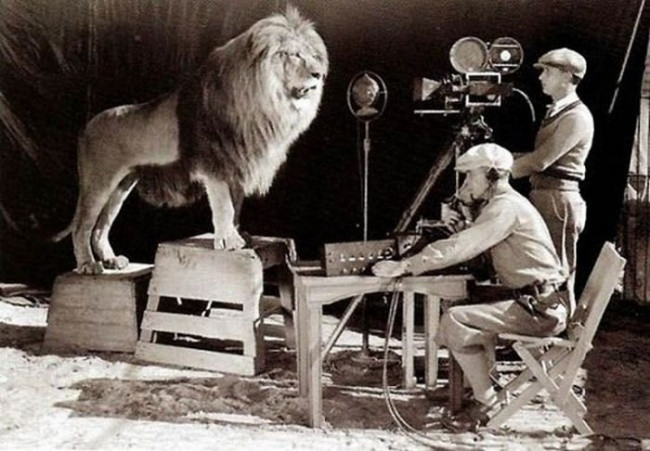 Cách người ta tạo ra logo nổi tiếng của hãng Metro-Goldwyn-Mayer.