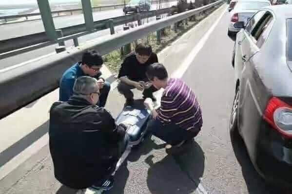 Những bức ảnh này sẽ tiết lộ cho bạn những điều thú vị về cách họ sử dụng thời gian rảnh hết sức hài hước. Ảnh: Tổng hợp