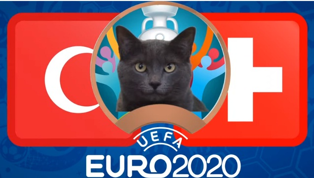 Tại World Cup 2022, tỉ lệ dự đoán chính xác của Cass sau 4 trận đầu tiên là 100%. Tuy nhiên, ngày thi đấu thứ ba lại là một thất bại khi chú mèo tiên tri chọn Argentina, Đan Mạch và Ba Lan giành chiến thắng.