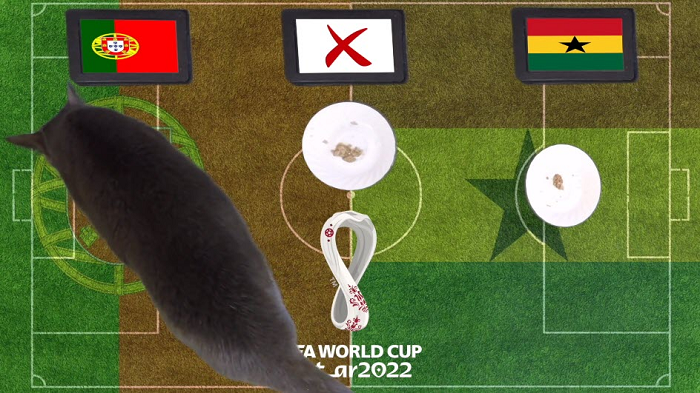 Nhưng nếu nhìn vào phong độ thực tế của Những ngôi sao đen tại World Cup, chú mèo Cass có phần đắn đo. Tuy nhiên cuối cùng, Cass đã lựa chọn Bồ Đào Nha.