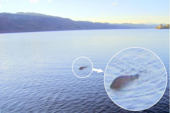Lần gần đây nhất, quái vật hồ Loch Ness xuất hiện là vào cuối tháng 11/2011. Ông George Edwards, người săn tìm Nessie suốt 26 năm qua, đã chụp lại bức ảnh bằng máy kỹ thuật số, được cho là bức ảnh rõ nét nhất về con quái vật này.