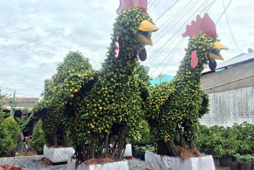 Cặp cây cảnh tạo hình gà luôn được khách hàng ưa chuộng dịp Tết Đinh Dậu (Ảnh: VnExpress)