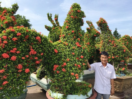 Kiểng hình gà bằng cây trang cổ thụ có giá hơn 100 triệu đồng/cặp của nghệ nhân Năm Thoại (xã Long Trung, huyện Cai Lậy, tỉnh Tiền Giang) (Ảnh: Dân Trí)