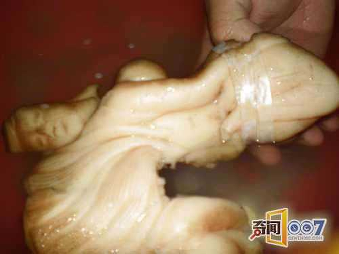 Trong họ nhà linh chi, chúng ít khi được tìm thấy. Với nhiều người, sở hữu nấm linh chi Thái Tuế là cơ hội đổi đời, kiếm bộn tiền.