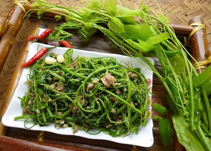 Tiếp đến là rau dạ hiến - một món ăn đặc sản Cao Bằng rất quý hiếm, được gọi là tinh hoa của núi rừng. Loại rau này chỉ mọc ở những vùng núi cao, có hương vị ngọt thanh đặc biệt. Rau dạ hiến đã trở thành món ăn đặc sản Cao Bằng quen thuộc trong các nhà hàng và được nhiều du khách yêu thích vì sự thanh mát, dễ ăn. Ảnh Internet