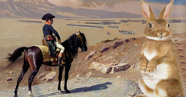 Trong một cuộc săn thỏ dành cho các sĩ quan, hoàng đế Napoléon Bonaparte bị đàn thỏ giận dữ lao phía về mình khiến ông phải bỏ chạy. Sau tai nạn hy hữu này, ông hoàng nổi danh nước Pháp còn bị ám ảnh mỗi khi nhìn thấy thỏ.