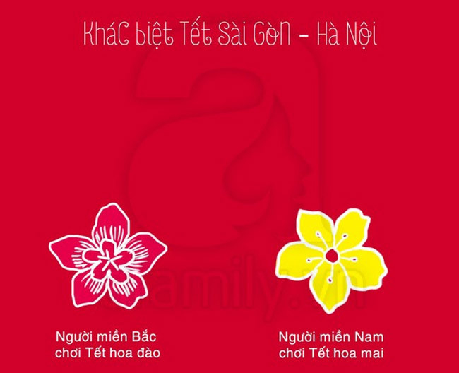Hoa đào là biểu tượng Tết đối với người miền Bắc, còn với người miền Nam thì đó là hoa mai.