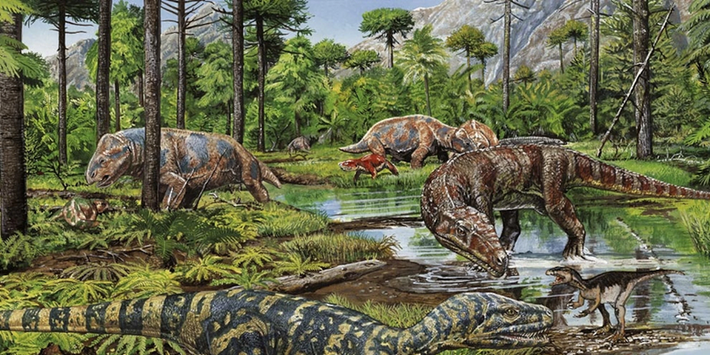 Như vậy, nguồn gốc của Turnersuchus hingleyae vẫn còn là một bí ẩn đối với các nhà khoa học.