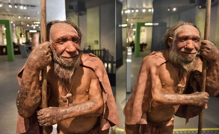 Cho đến nay, tuy chỉ có 32 bộ gen của người Neanderthal đã được giải trình tự, bỏ ngỏ khả năng việc không tìm thấy DNA của người Homo sapiens trong bộ gen của người Neanderthal là do việc lấy mẫu ngẫu nhiên, các tác giả bài báo vẫn hy vọng rằng những tiến bộ trong công nghệ giải trình tự gen sẽ xác quyết giả thuyết này bằng cách tạo ra thêm nhiều bộ gen.