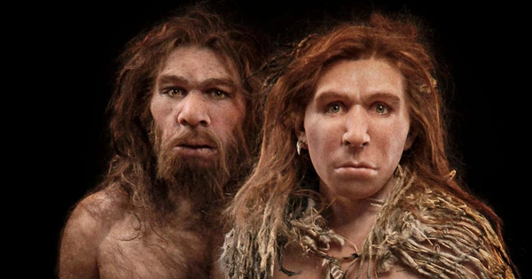 May mắn lần nữa thuộc về người Homo Sapiens chúng ta. Họ đã sớm miễn dịch được với các bệnh của người Neanderthals trước khi loài kia làm được điều đó. Homo Sapiens dần xâm chiếm các khu vực sinh sống, gia tăng dân số, trong khi cộng đồng người Neanderthals dần co lại để rồi hoàn toàn tuyệt chủng trong bệnh tật.