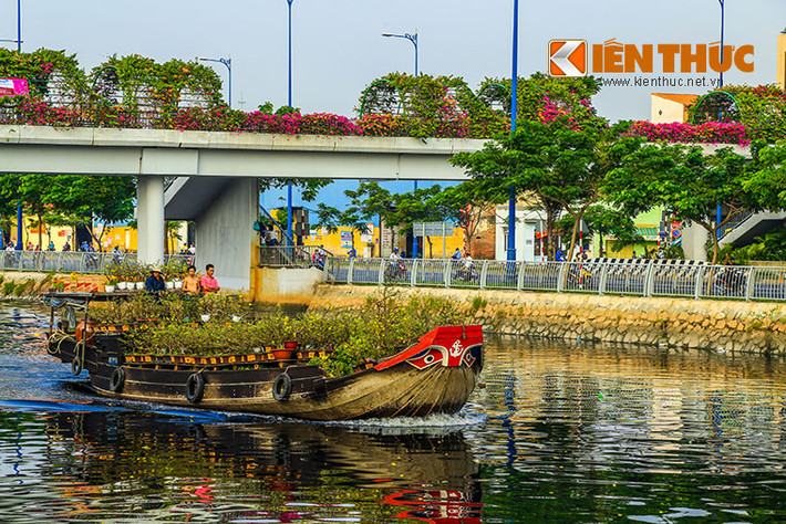 Hoa được vận chuyển từ các tỉnh miền Tây về theo đường sông nước, một phần được bày tại chỗ dọc các tuyến kênh, một phần được vận chuyển bằng xe tải đến các tuyến phố, chợ hoa trong nội thành. Được biết, đường hoa bến Bình Đông bắt đầu nhộn nhịp kể từ 25 Tết cho đến tận chiều 30 Tết.