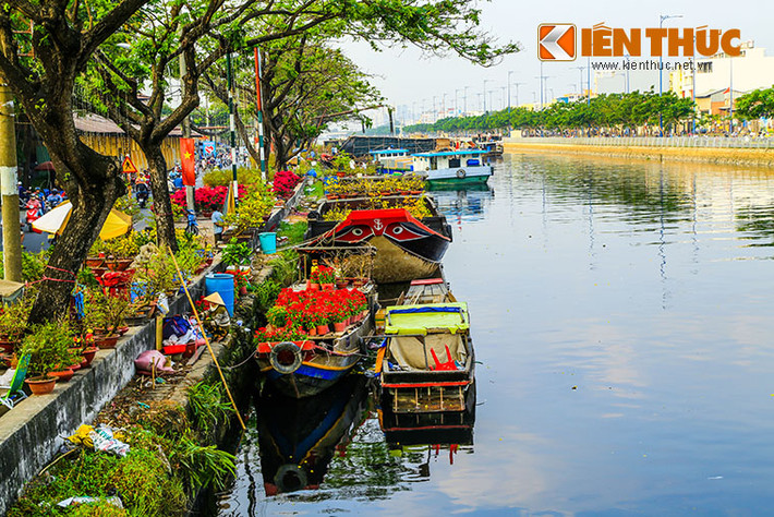 Nhiều ghe chở hoa, cây kiểng từ đồng bằng sông Cửu Long đã bắt đầu cập các bến Bình Đông.