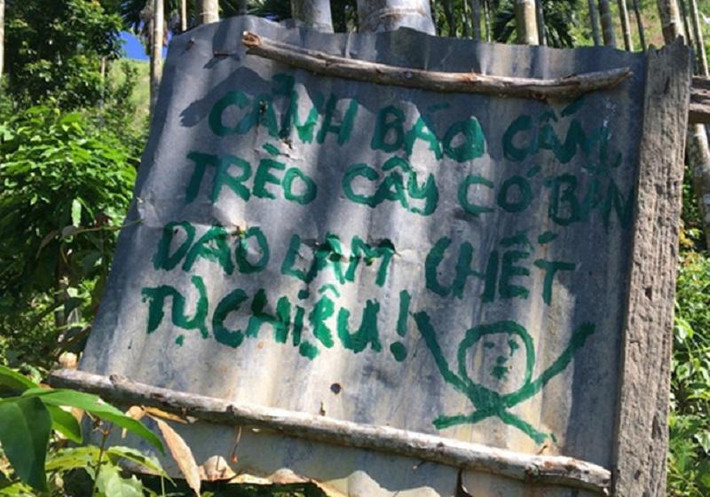 Có "trăm phương ngàn kế" đã được các chủ vườn nghĩ ra để chống trộm thành quả mà mình chăm bẵm.