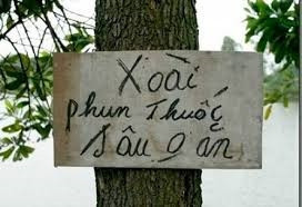 Dám chắc rằng trên thế giới chỉ được mỗi Việt Nam là nghĩ ra những cách "không đỡ nổi" như thế này thôi nhỉ?