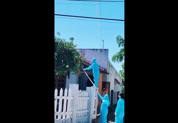 Khi có người thắc mắc có phải họ đang lén hái hay không thì người đăng clip giải thích rằng họ đã nhận được sự đồng ý của chủ nhà nên mới vặt công khai như vậy.