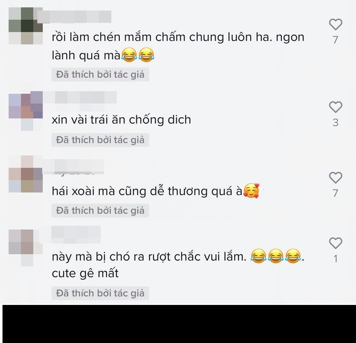 Dưới đoạn clip nhiều bình luận để lại tỏ ra thích thú: "Nhìn đu bám vô tường nhà người ta dễ thương ghê. Cẩn thận nhà có chó nha mấy bạn", "Đáng yêu thế này có khi chủ nhà còn hái cả cây xuống cho mang đi ý chứ",...