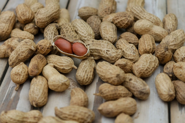 Hạt lạc. Đây là một trong những loại hạt phổ biến nhất trong danh sách này. Chất polyphenol trong hạt lạc giúp bảo vệ các tế bào trong cơ thể khỏi các chất oxy hóa có hại, giúp ta mãi trẻ. Còn chất linoleic trong hạt này lại giúp giảm lượng cholesterol trong máu và ngăn ngừa xơ cứng. Nó cũng rất tốt đối với những người ăn kiêng.