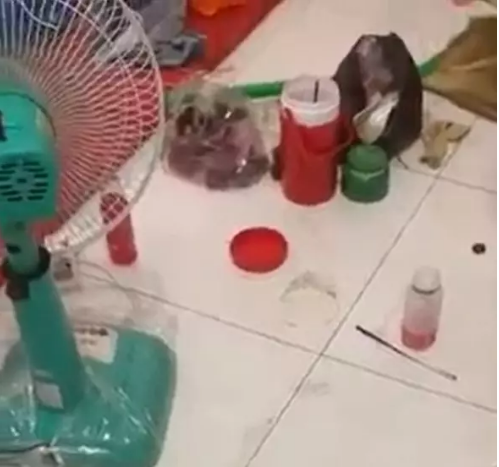 Mới đây cư dân mạng vô cùng ngán ngẩm khi xem đoạn clip căn phòng trọ bị 3 cô gái biến thành bãi rác.