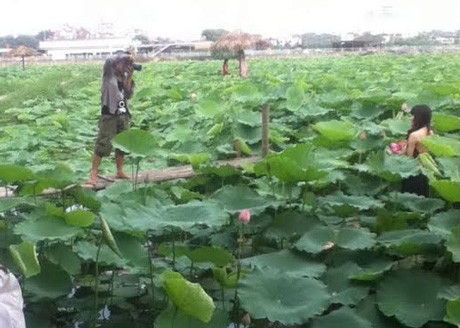 Bên cạnh những khoảnh khắc đẹp xuất thần, đâu đó vẫn xuất hiện hình ảnh về thảm họa và biểu cảm có 1-0-2 của các chị em khi quá mải mê chụp sen.