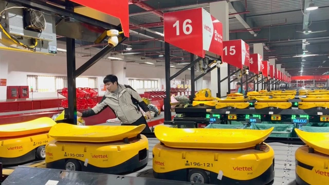 Nhà kho tự động với hàng trăm robot hình dạng bọ cánh cứng đang thay đổi ngành logistics tại Việt Nam. (Ảnh: Markettimes)