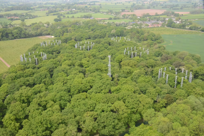 Ngoài ra, lượng khí thải từ các khu vực khác có thể đã bù trừ phần carbon mất đi từ việc rừng mọc lại sau các cuộc chiến. (Ảnh:The Conversation)