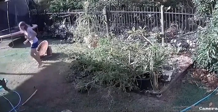 Sau khi định thần lại, chủ nhà đã lập tức chạy đến tìm cách lôi con trăn lưới ra khỏi thú cưng. Rất may là chú chó chỉ bị một vết cắn nhỏ ở tai.