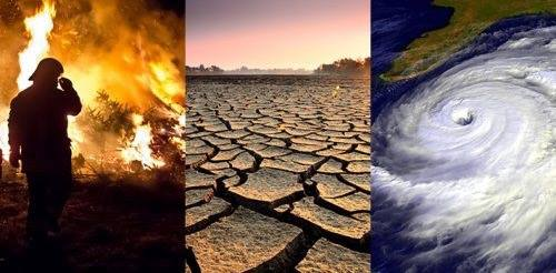 Bà Vanga dự báo rằng thảm họa thiên nhiên sẽ gia tăng và liên tiếp xảy ra trong năm 2024, với số lượng cơn bão lũ, động đất, và hỏa hoạn tăng nhanh chóng. Bà còn cảnh báo về một trận động đất lớn ở khu vực vành đai Thái Bình Dương.