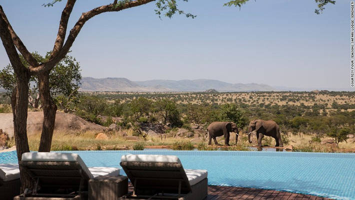 Dịp Lễ tình nhân 2017 này, gói đi thăm quan trực tiếp ở Công viên Quốc gia Serengeti ở Tanzania cho các đôi yêu nhau cũng là một sự lựa chọn đáng để tâm. Ảnh CNN cho các đôi yêu nhau. Ảnh CNN