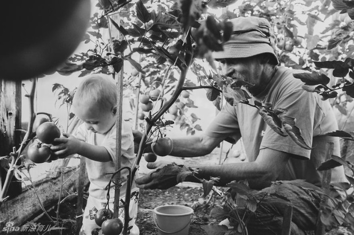Những hình ảnh hai ông cháu đã chạm tới trái tim rất nhiều người xem, nhất là những người có ông, bà đã mất.