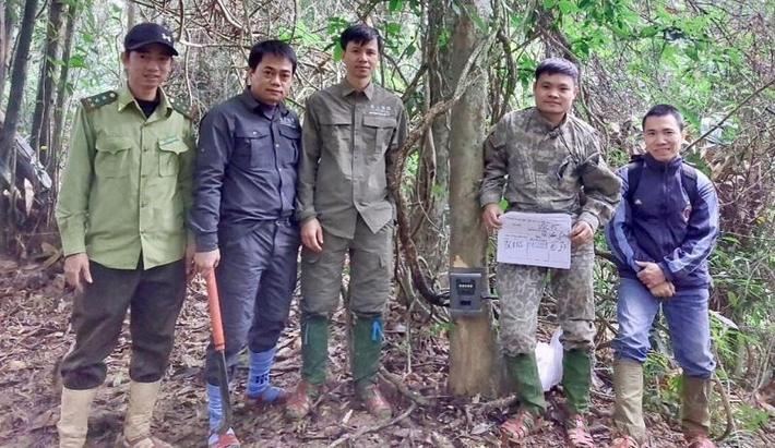 Đây là lần thứ hai bẫy ảnh thành công chụp được 2 con voi.