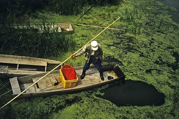 Vùng đất ngập nước Upo trải rộng tới 5.50km2 và có hơn 1.000 loài sinh vật.