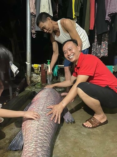Tối ngày 25/5/2022, ông Bùi Văn Chính ở xã Thịnh Hưng, Yên Bình, Yên Bái, đi đánh lưới ở hồ Thác Bà trên địa bàn xã thì bắt được con cá trắm đen nặng gần 53 kg. Con cá quá lớn nên ông đã gọi con trai và mọi người ra hỗ trợ để bắt nó mang lên bờ.