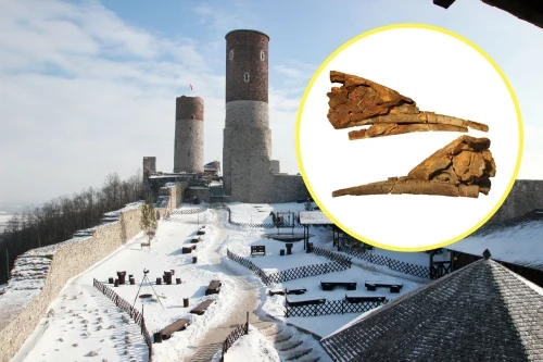 Phát hiện về Alienacanthus lập kỷ lục mới về hình dạng thực sự mà các thủy quái kỷ Devon có thể sở hữu.