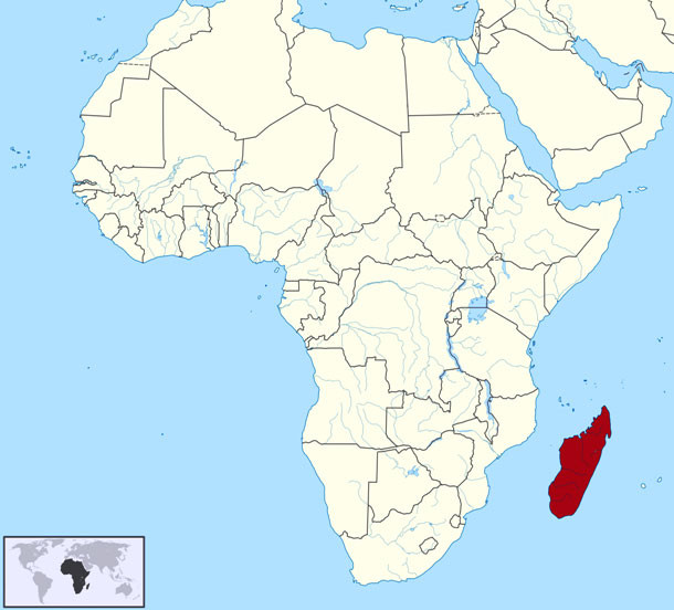 Cả về chính trị và địa lý, quốc đảo Madagascar hiện thuộc về châu Phi. Tuy nhiên, cách đây hàng triệu năm, vùng đất này lại là một phần của Châu Á.